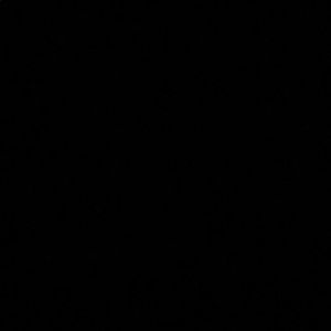 Meet your Posher, Bennett